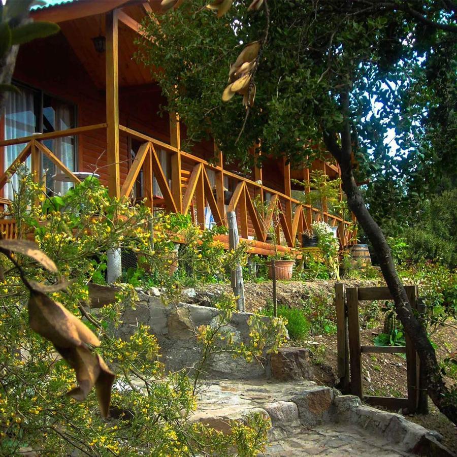 Las Lomitas De Guayacan, Cabanas Y Spa San José de Maipo Exterior foto